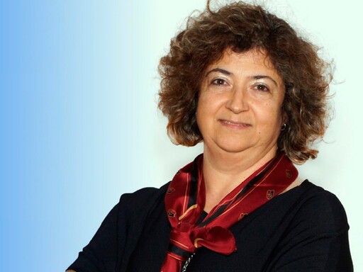 Professora do ISCSP representa Portugal no Social and Human Working Group do IASC