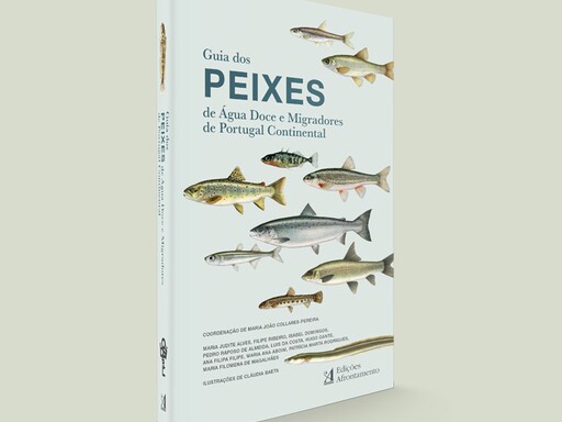 Publicado o primeiro Guia de Peixes de Água Doce e Migradores de Portugal Continental