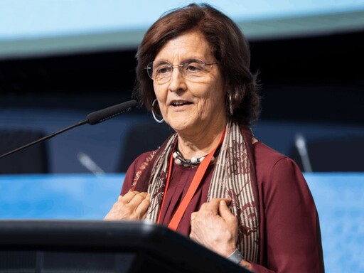 Professora Margarida Tomé eleita como membro do Conselho do European Forest Institute (EFI)