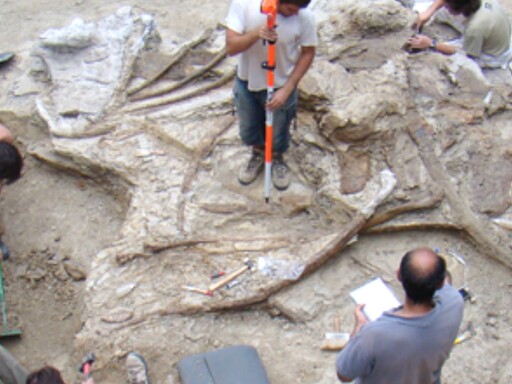 Descoberto novo dinossáurio gigante do Cretácico Inferior da Península Ibérica