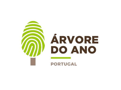 Votações Abertas | Instituto Superior de Agronomia e Jardim Botânico da Ajuda apresentam candidaturas a "Árvore do Ano 2019"