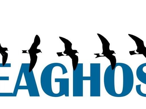 Logotipo Seaghosts