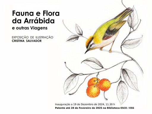 Exposição de ilustração "Fauna e Flora da Arrábida", pela Professora Cristina Salvador